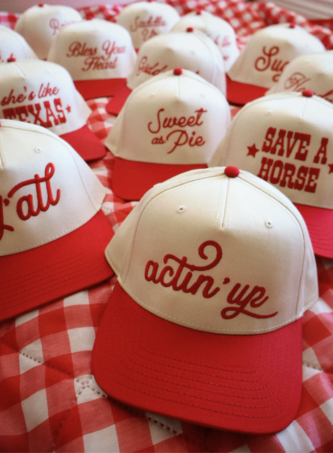 Custom Embroidered Hat (Pre-digitized designs)