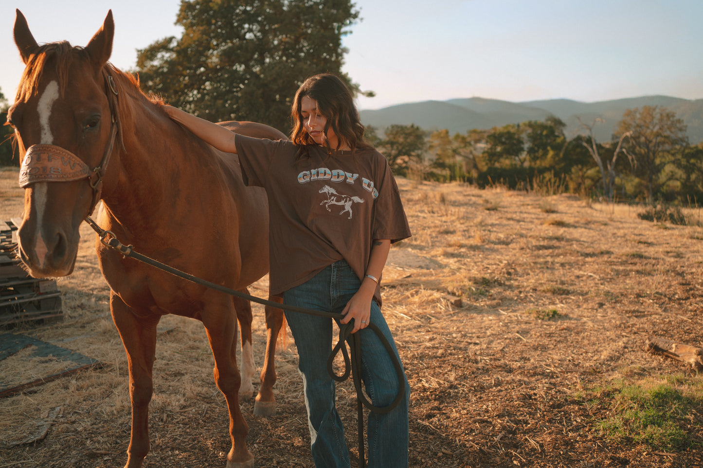 Giddy Up Boyfriend Tee