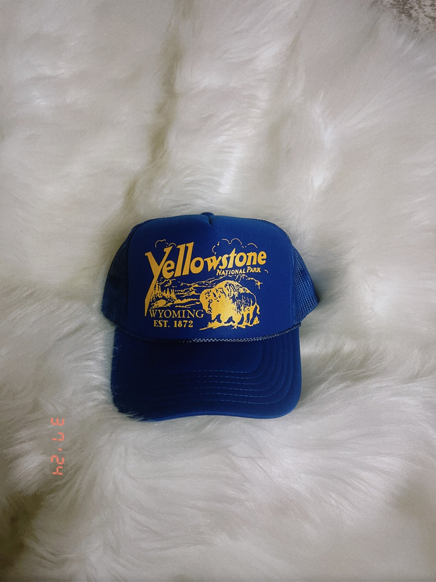 Retro Yellowstone Trucker Hat