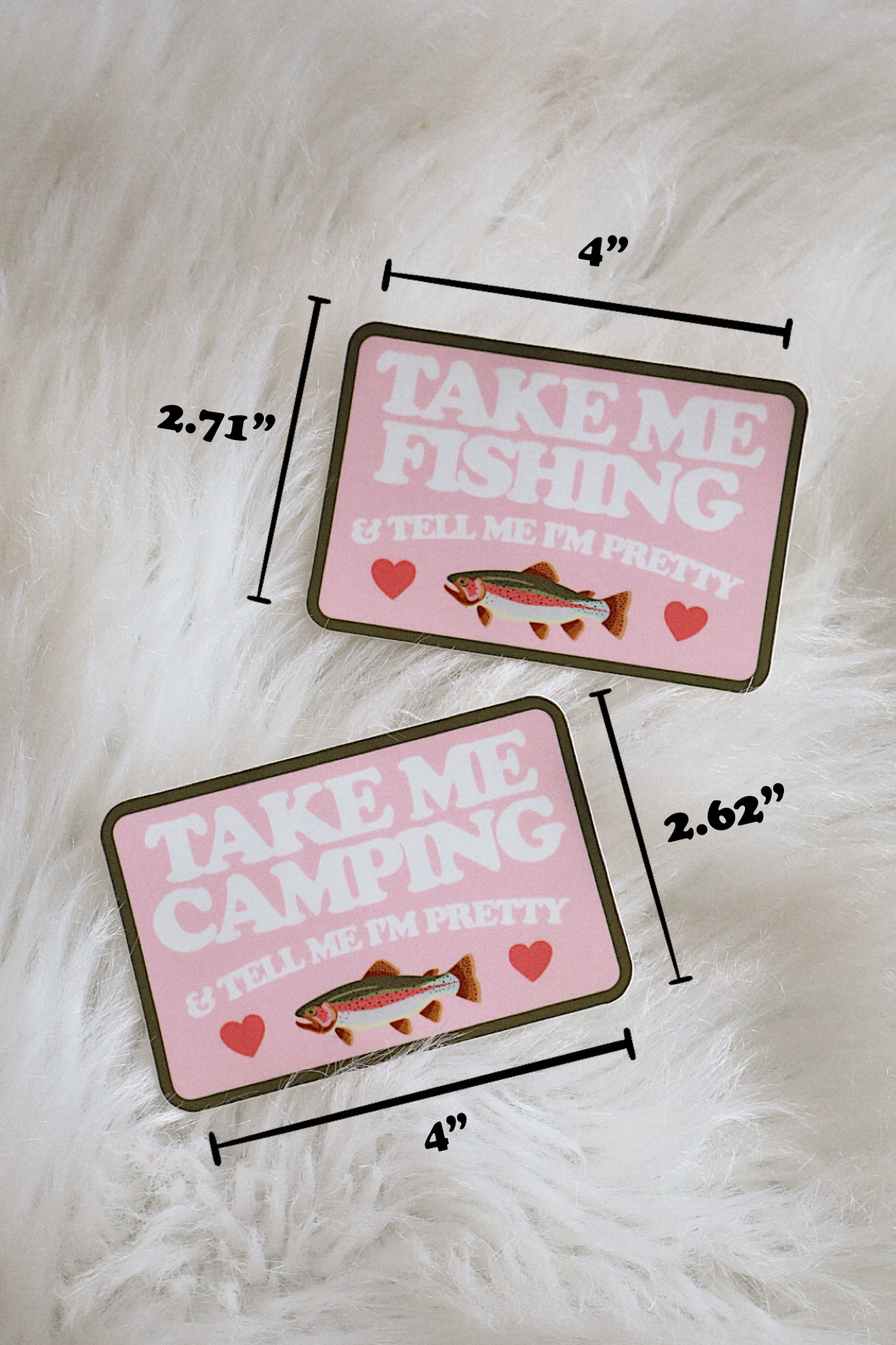 Take Me Fishing/Camping Vinyl Sticker
