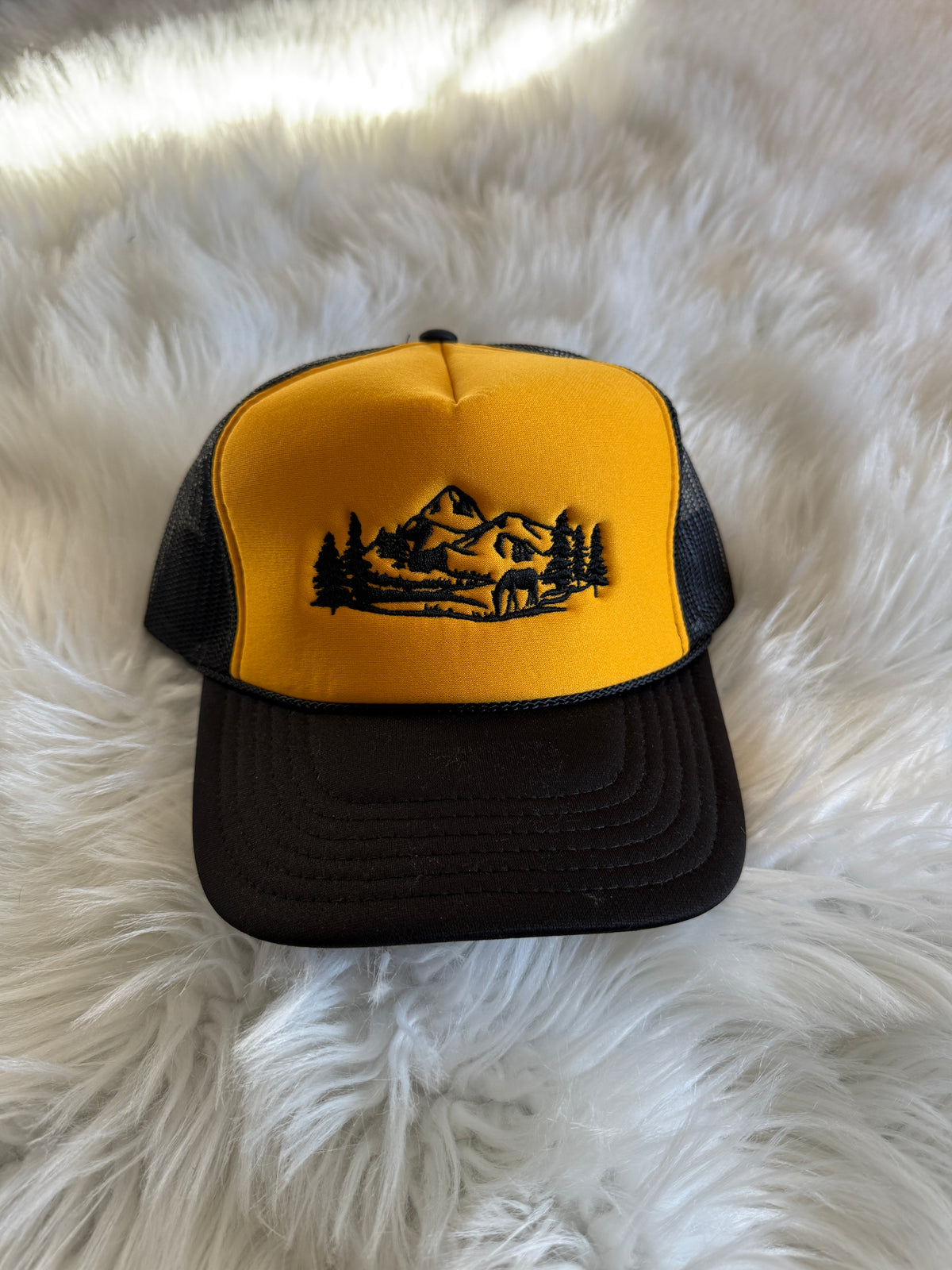 Mountains