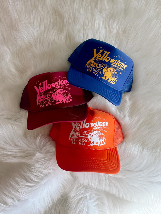 Retro Yellowstone Trucker Hat